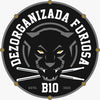 Perfil do instagram